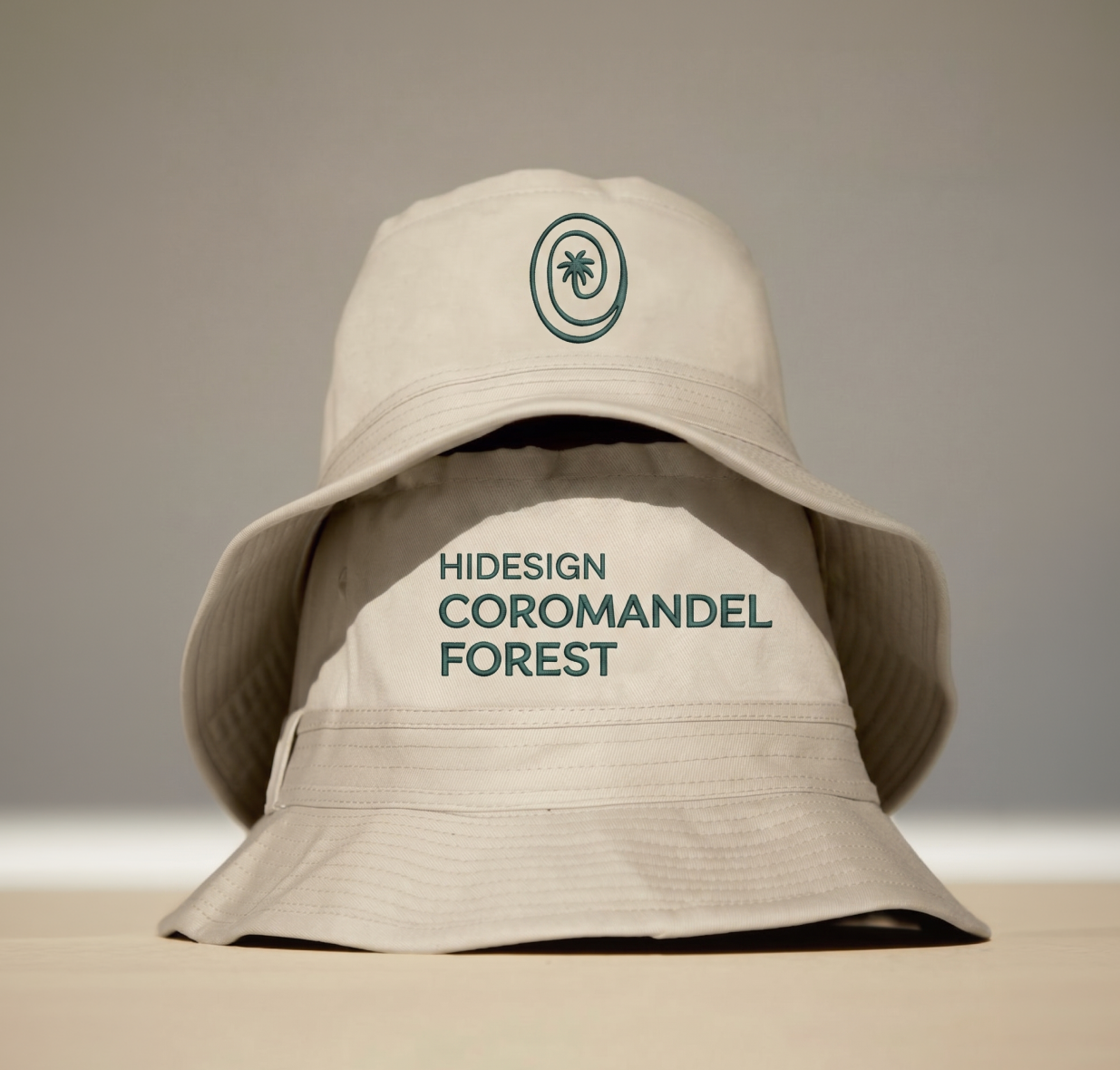 Logo design for the brand Redo on green gradient background